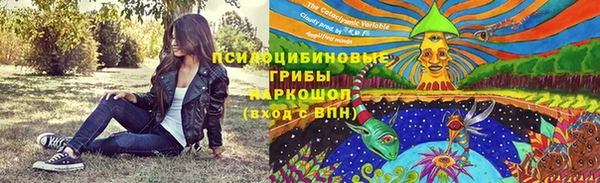 мдпв Краснослободск