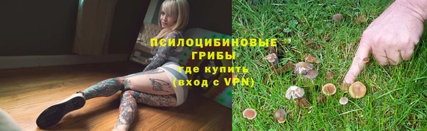 СК Алзамай